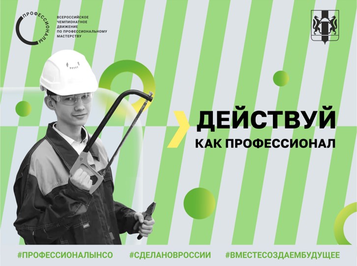 Региональный чемпионат профессионального мастерства "ПРОФЕССИОНАЛЫ".
