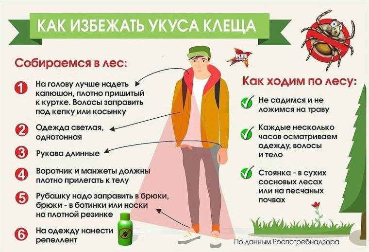 Берегитесь клещей!.